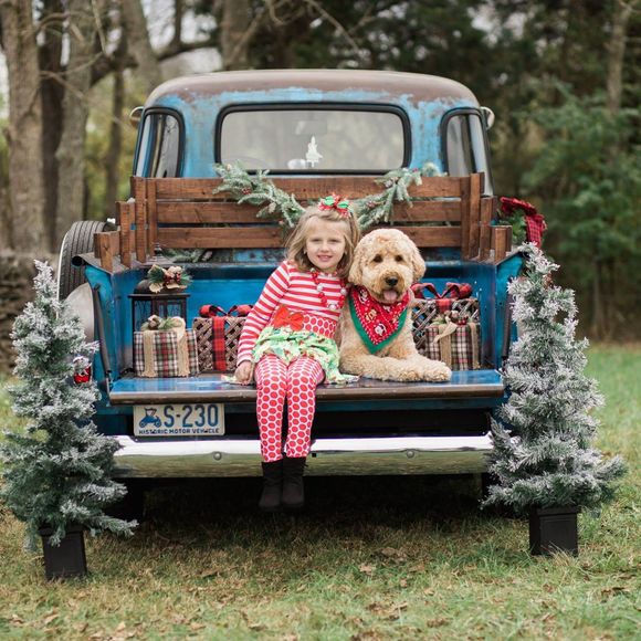 Meet your Posher, Robert - Picture 1 of 1